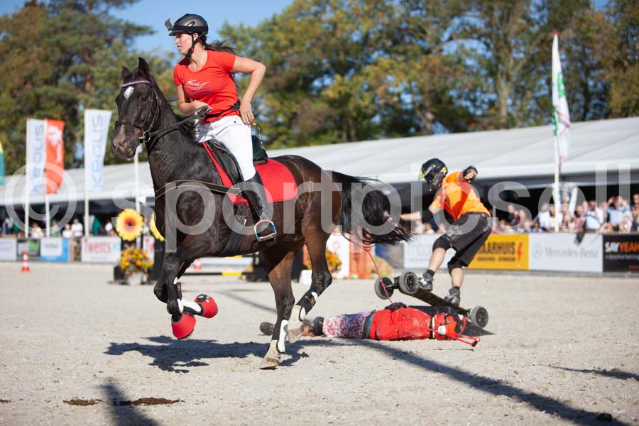Prüfung show — IMG_3799