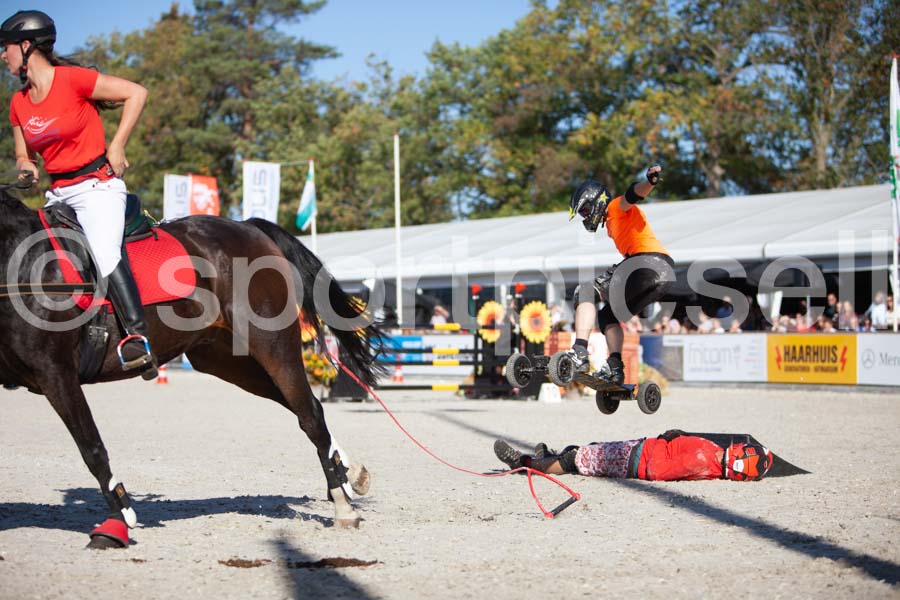 Prüfung show — IMG_3800