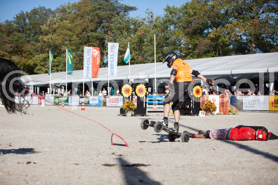 Prüfung show — IMG_3801