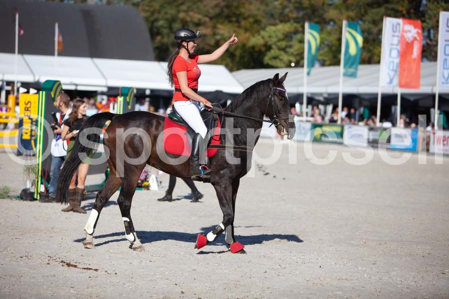 Prüfung show — IMG_3822