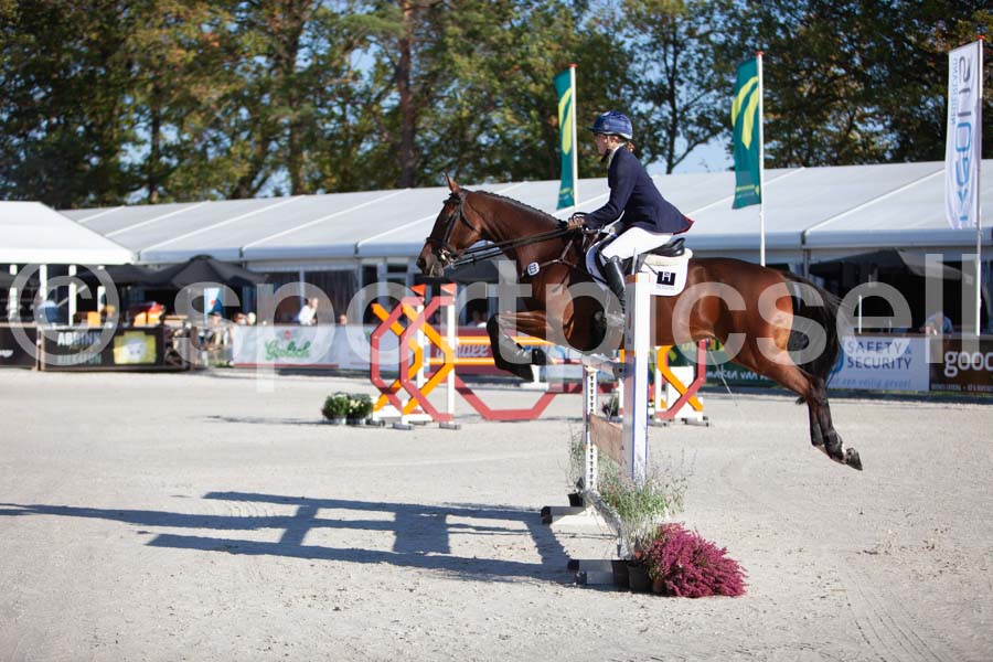 Prüfung showjumping-1 — IMG_2912