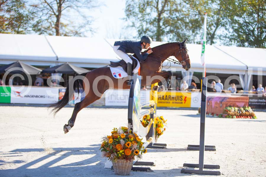 Prüfung showjumping-1 — IMG_2918