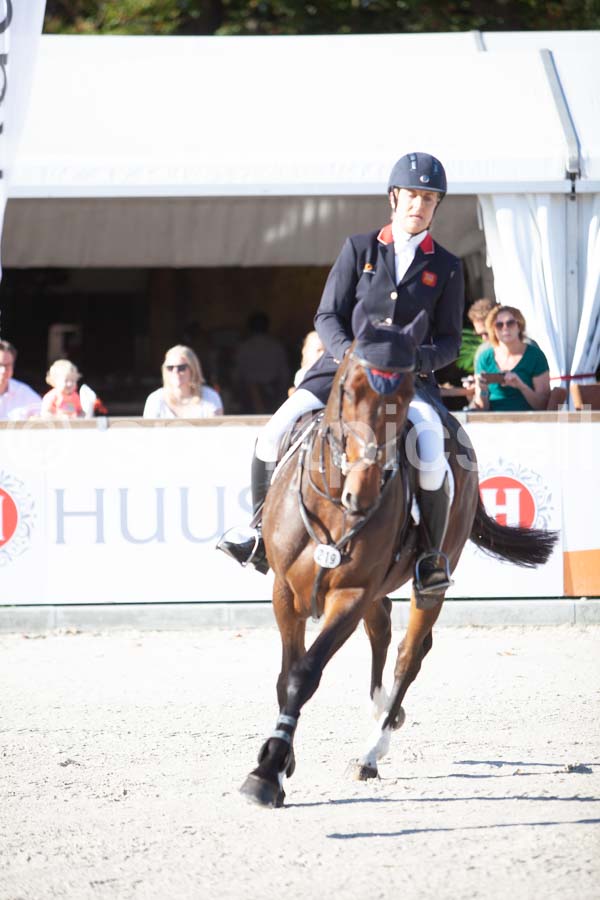 Prüfung showjumping-1 — IMG_2922