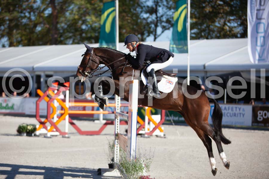 Prüfung showjumping-1 — IMG_2932
