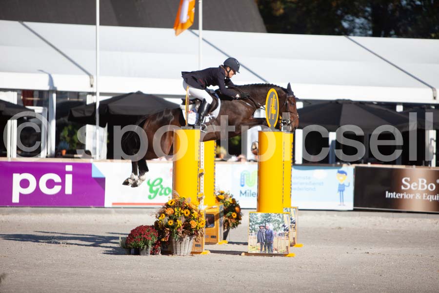 Prüfung showjumping-1 — IMG_2933