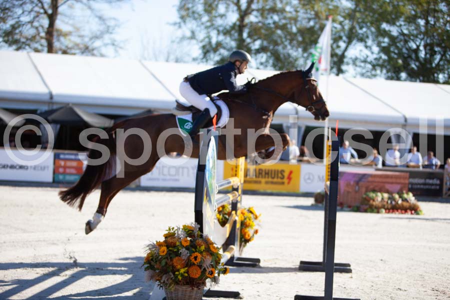 Prüfung showjumping-1 — IMG_2940