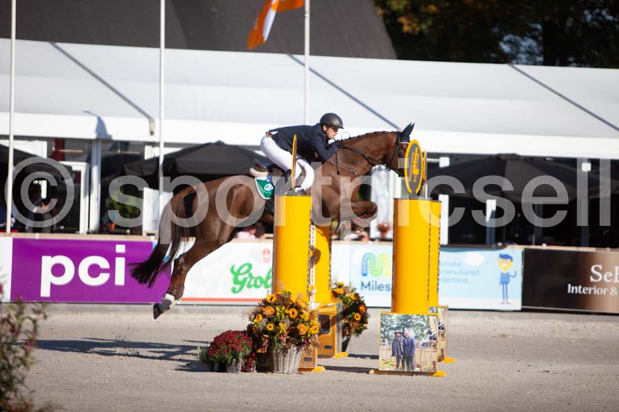 Prüfung showjumping-1 — IMG_2945