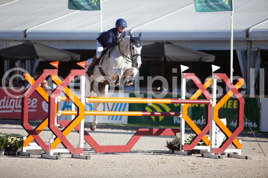 Prüfung showjumping-1 — IMG_2951