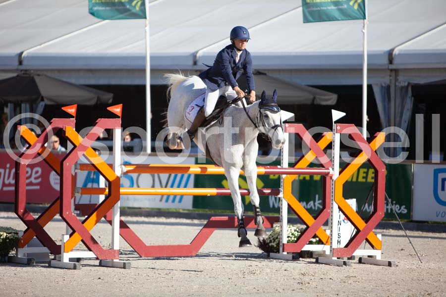 Prüfung showjumping-1 — IMG_2952