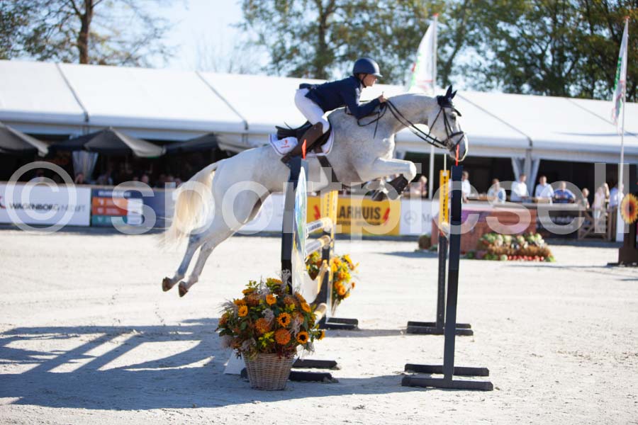 Prüfung showjumping-1 — IMG_2953