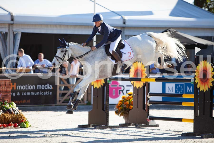 Prüfung showjumping-1 — IMG_2955