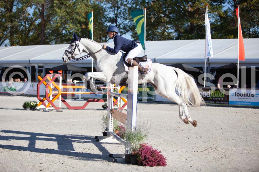 Prüfung showjumping-1 — IMG_2956
