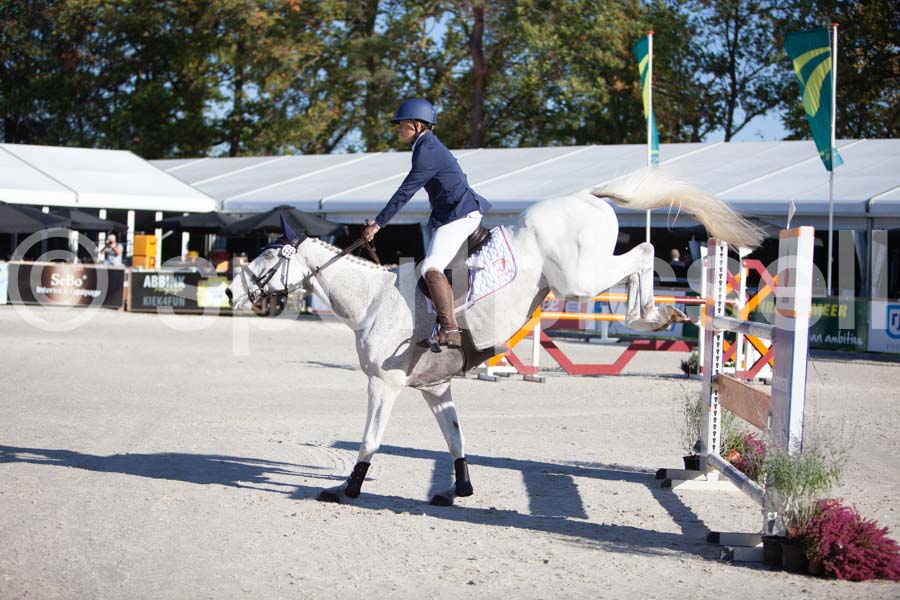 Prüfung showjumping-1 — IMG_2957