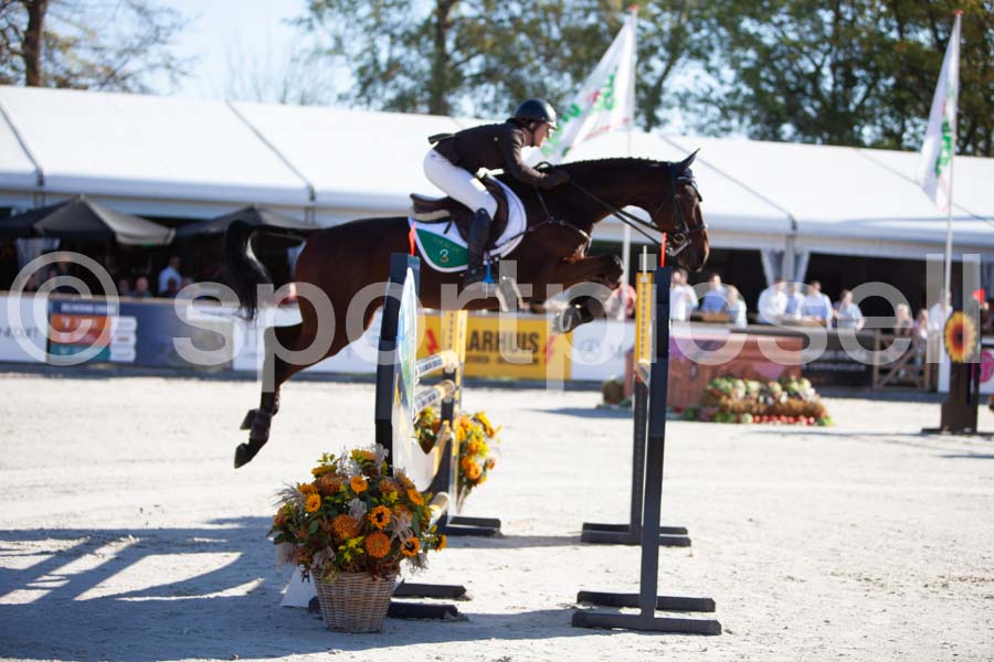 Prüfung showjumping-1 — IMG_2969