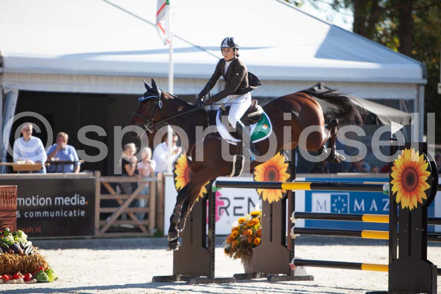 Prüfung showjumping-1 — IMG_2971