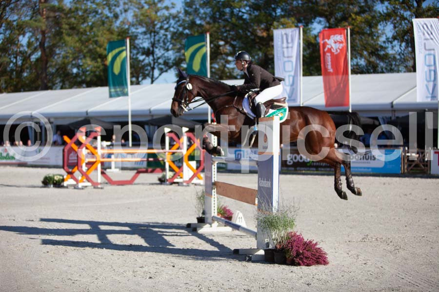 Prüfung showjumping-1 — IMG_2972