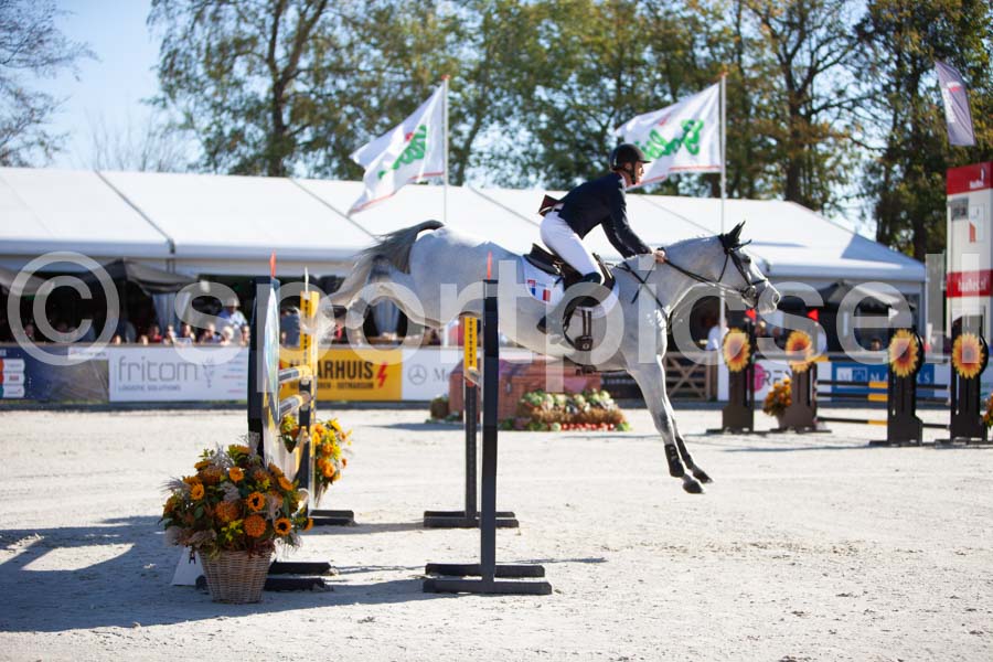 Prüfung showjumping-1 — IMG_2981