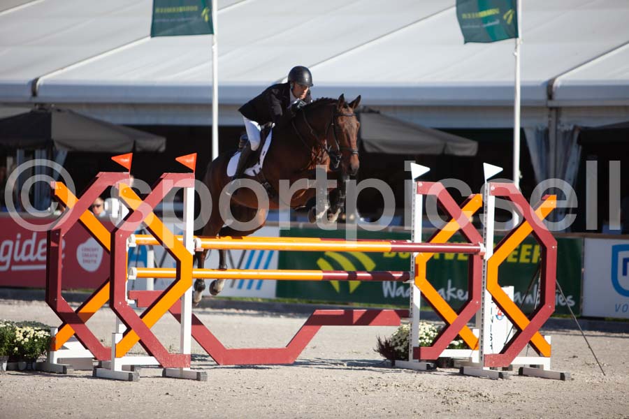 Prüfung showjumping-1 — IMG_2989