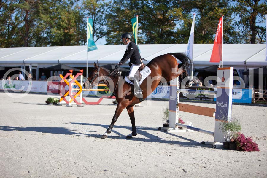 Prüfung showjumping-1 — IMG_2995