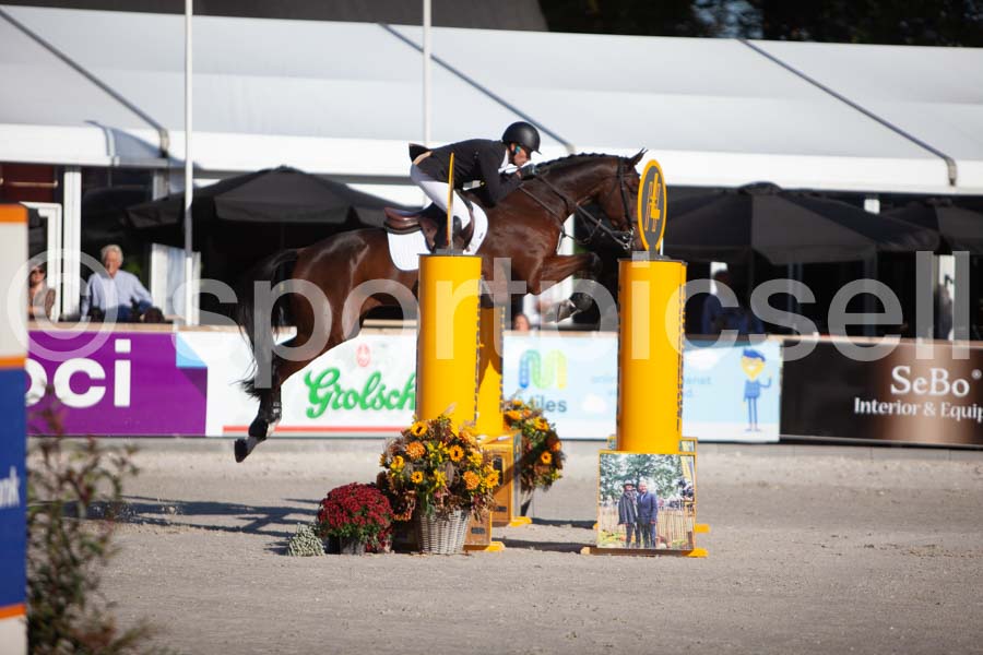 Prüfung showjumping-1 — IMG_2997
