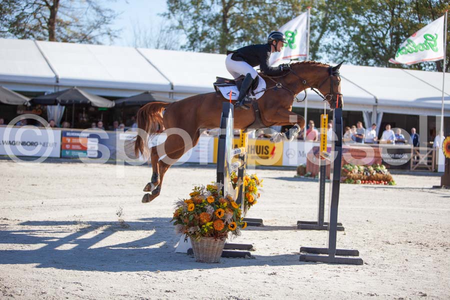 Prüfung showjumping-1 — IMG_3010