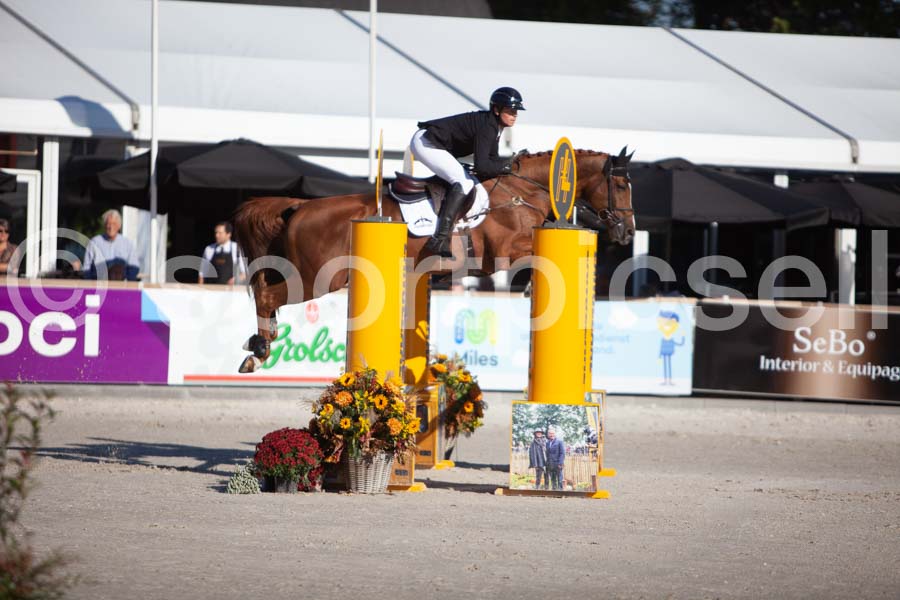 Prüfung showjumping-1 — IMG_3015