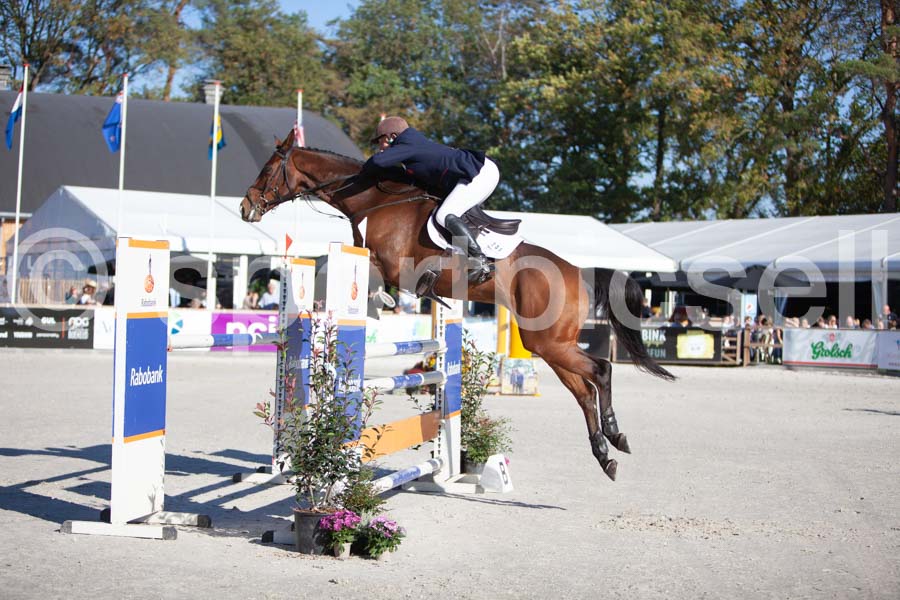 Prüfung showjumping-1 — IMG_3029