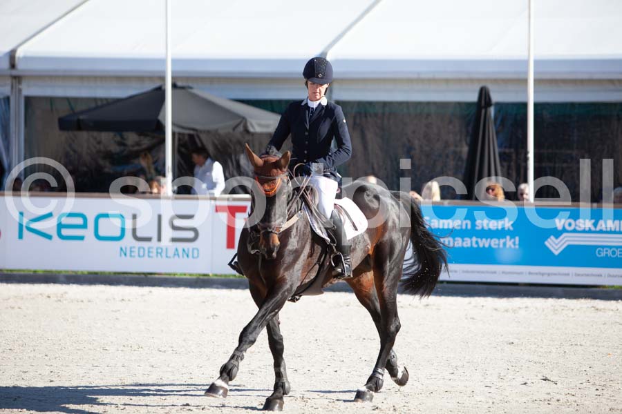 Prüfung showjumping-1 — IMG_3030