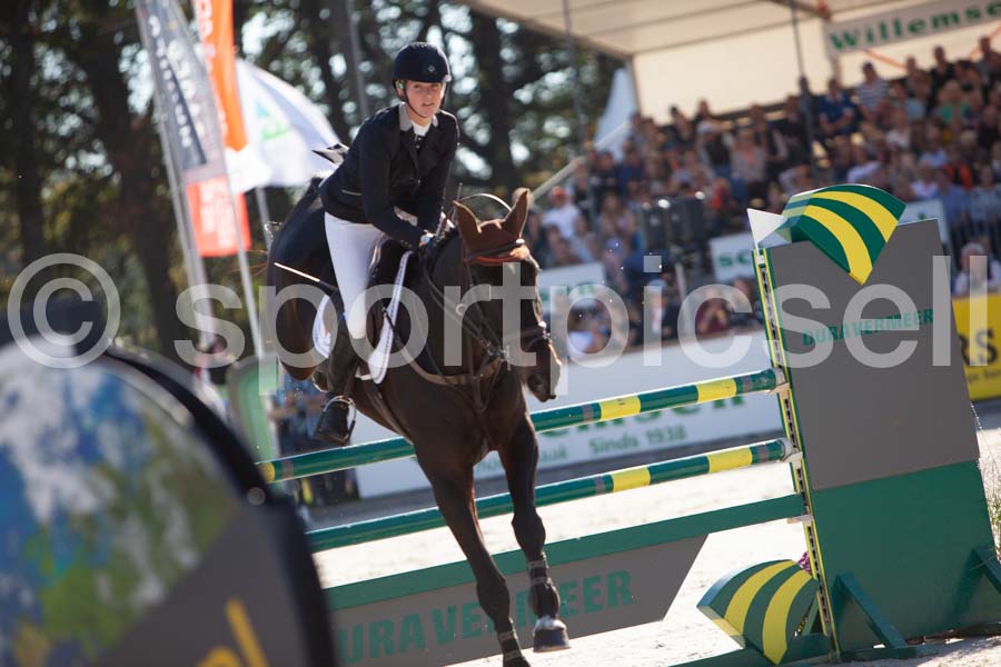 Prüfung showjumping-1 — IMG_3035