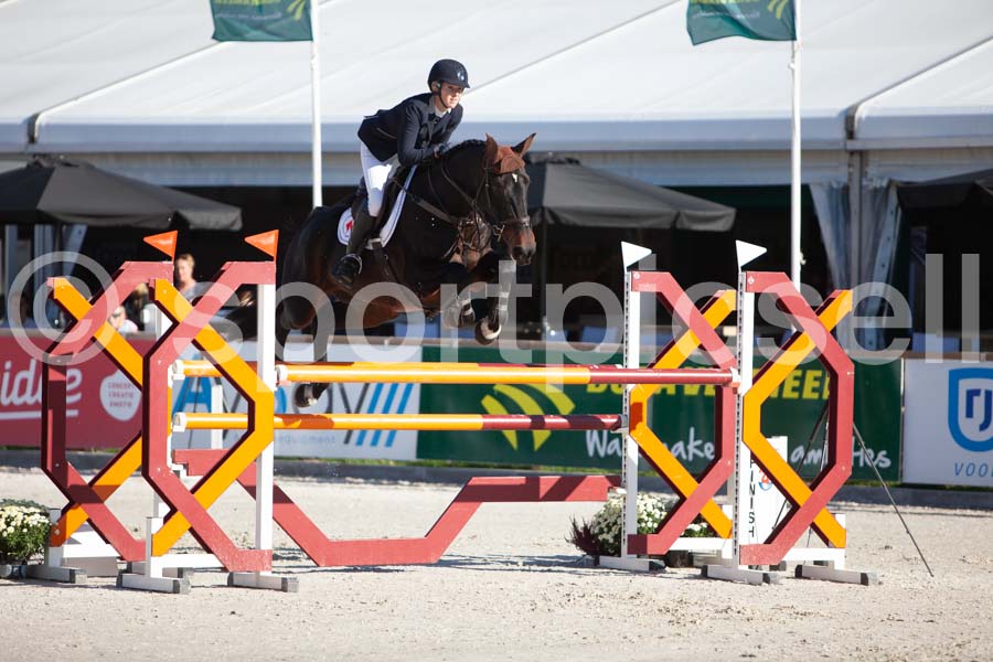 Prüfung showjumping-1 — IMG_3036
