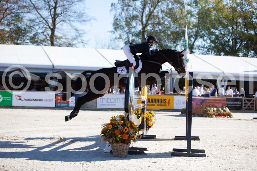 Prüfung showjumping-1 — IMG_3037