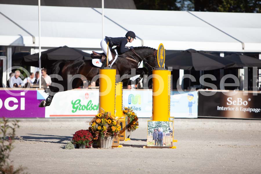 Prüfung showjumping-1 — IMG_3042