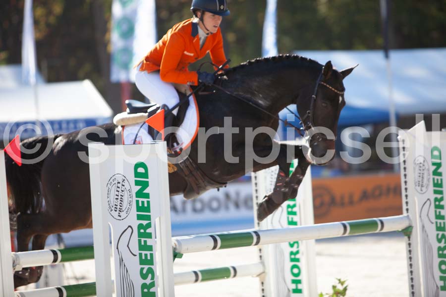 Prüfung showjumping-1 — IMG_3044