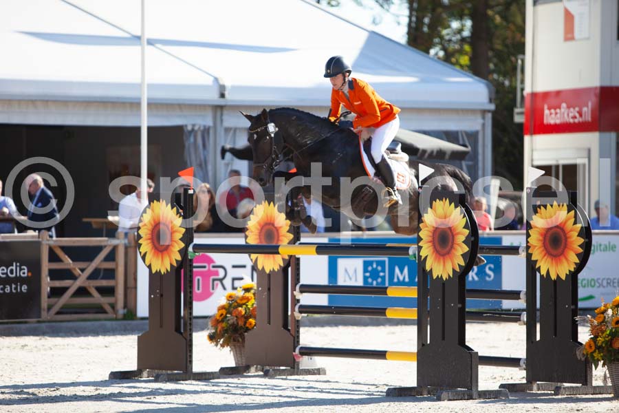 Prüfung showjumping-1 — IMG_3052
