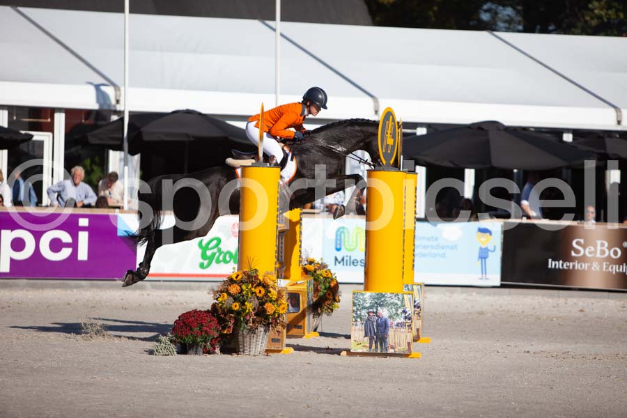 Prüfung showjumping-1 — IMG_3057