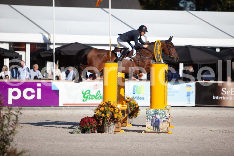 Prüfung showjumping-1 — IMG_3072
