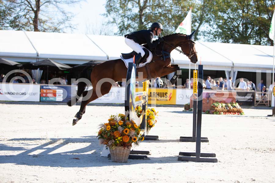 Prüfung showjumping-1 — IMG_3082