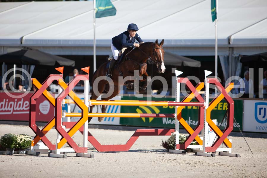 Prüfung showjumping-1 — IMG_3113