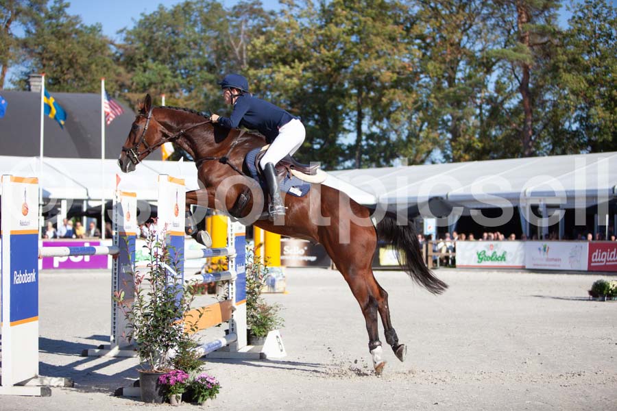 Prüfung showjumping-1 — IMG_3120