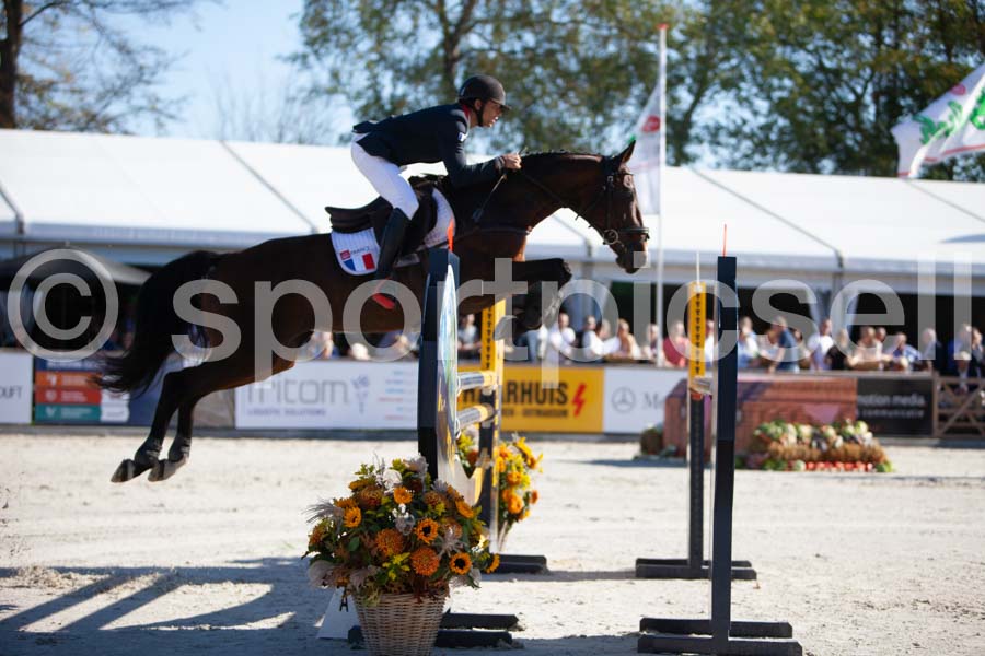 Prüfung showjumping-1 — IMG_3128