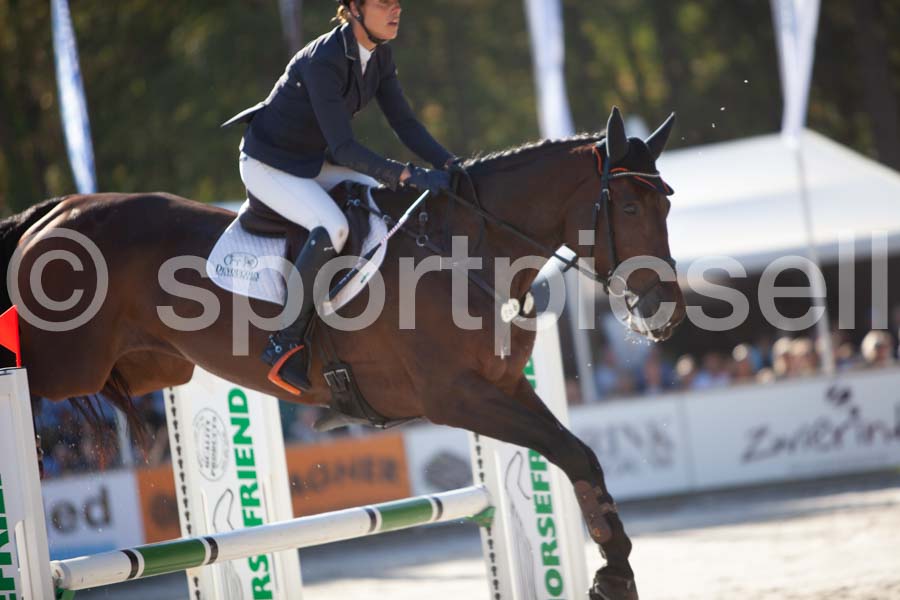 Prüfung showjumping-1 — IMG_3135