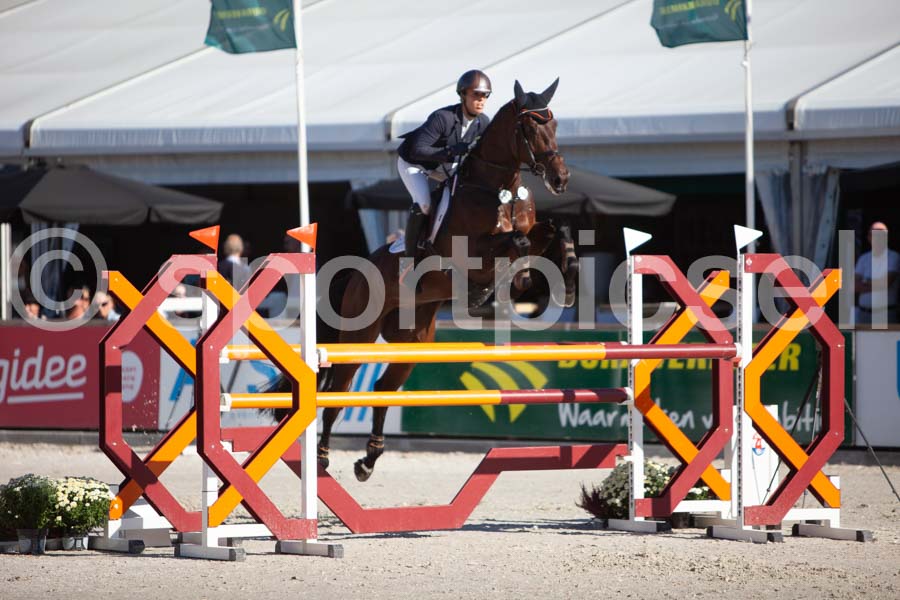 Prüfung showjumping-1 — IMG_3140