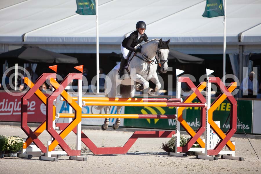 Prüfung showjumping-1 — IMG_3152