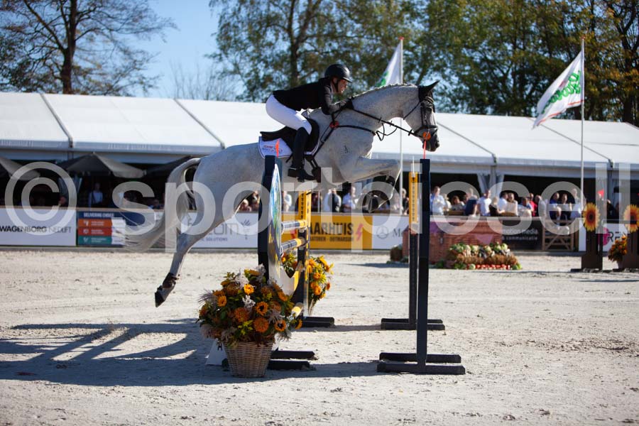 Prüfung showjumping-1 — IMG_3154