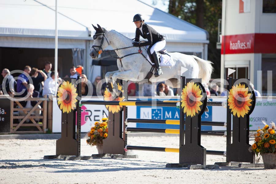 Prüfung showjumping-1 — IMG_3156
