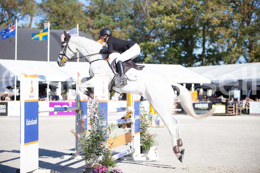 Prüfung showjumping-1 — IMG_3158
