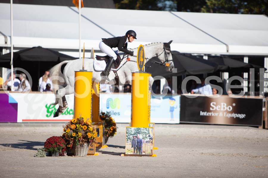 Prüfung showjumping-1 — IMG_3159