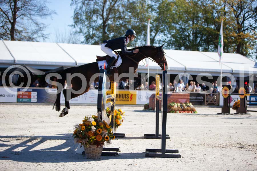 Prüfung showjumping-1 — IMG_3166
