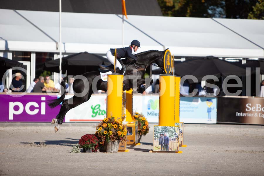 Prüfung showjumping-1 — IMG_3181