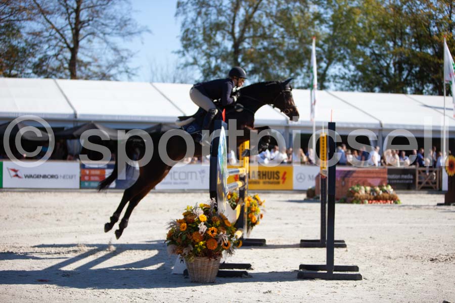 Prüfung showjumping-1 — IMG_3189